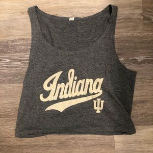 Indiana gray cropped tank top